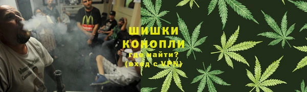 СК Алексин