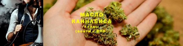 СК Алексин
