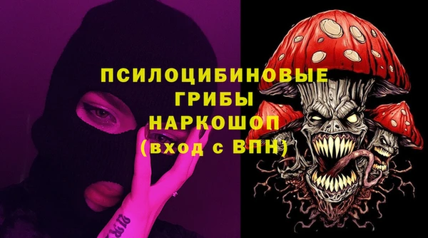 СК Алексин