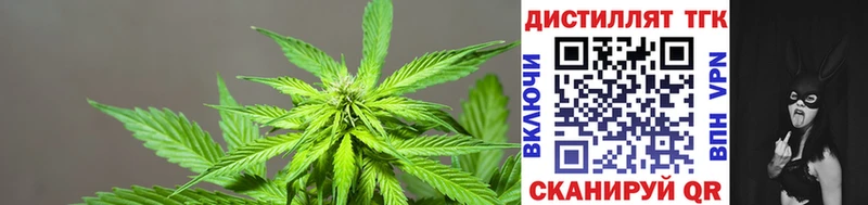 продажа наркотиков  Апшеронск  ТГК Wax 