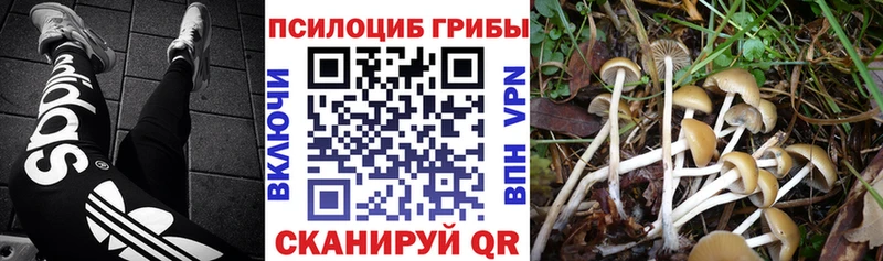 даркнет сайт  Апшеронск  Галлюциногенные грибы прущие грибы 