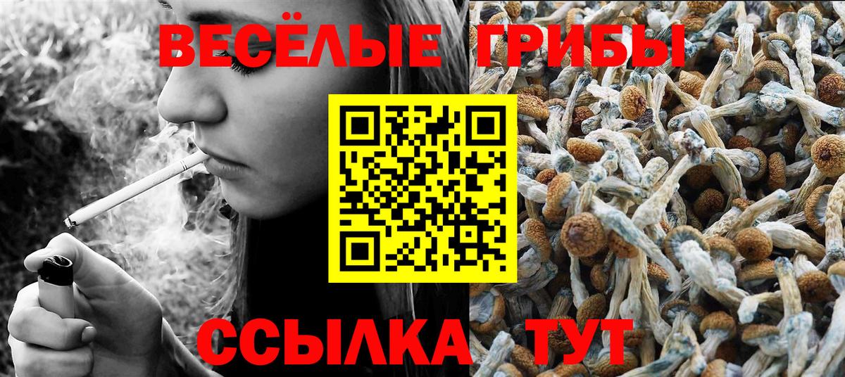 Псилоцибиновые грибы MAGIC MUSHROOMS Апшеронск